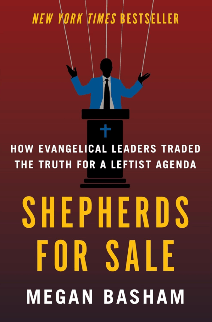 cover of Shepherds for Sale by Megan Basham